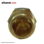 در پوش برنجی قطعه ای کاربردی برای بستن مسیر انتهایی یک لوله بوده که با آببند شدن در محل خودش ، از هدر رفت و یا نشت سیال به بیرون از آن جلوگیری می کند
