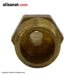 سر شیلنگی برنجی یک اتصال برنجی برای متصل کردن یک شیلنگ به یک محل دارای رزوه استاندارد است ، دندانه های این سر شیلنگی به دیواره داخلی شیلنگ فیکس شده و مانع از خارج شدن شیلنگ می شود